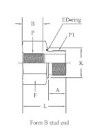 Back Ferrule